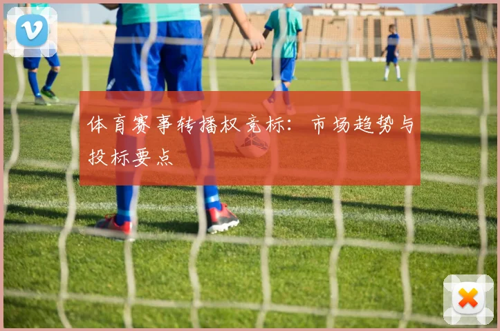 体育赛事转播权竞标：市场趋势与投标要点