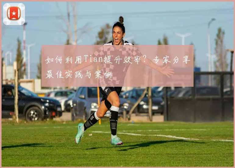 如何利用Tian提升效率？专家分享最佳实践与案例